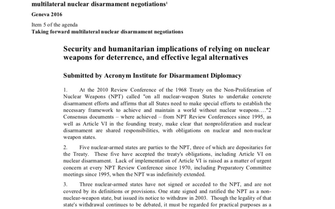 Acronym’s UN working paper on Deterrence